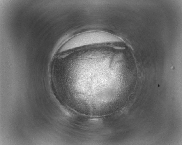 X0000067000053200604072159