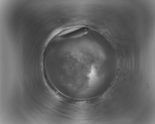 X0000067000054200604072159