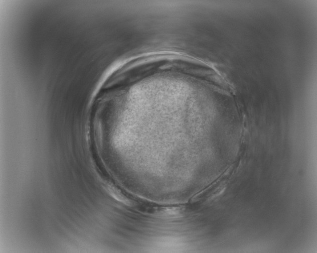 X0000067000056200604072159