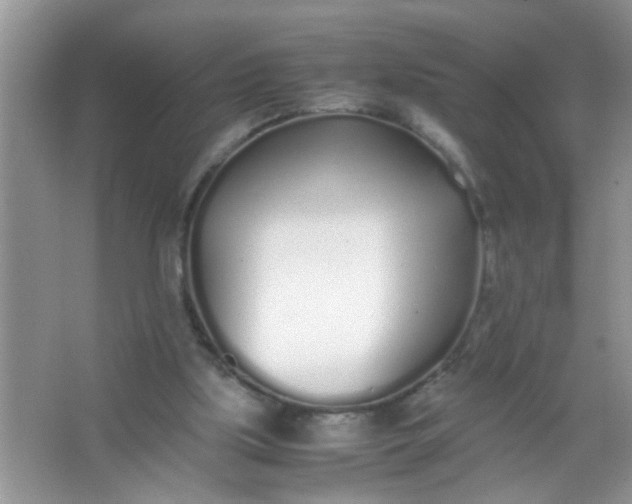 X0000067000059200604072159