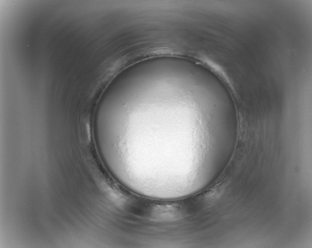 X0000067000061200604072159