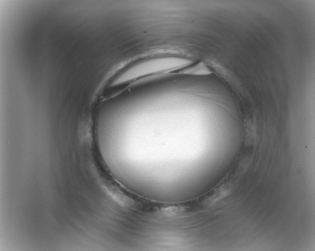 X0000067000064200604072200