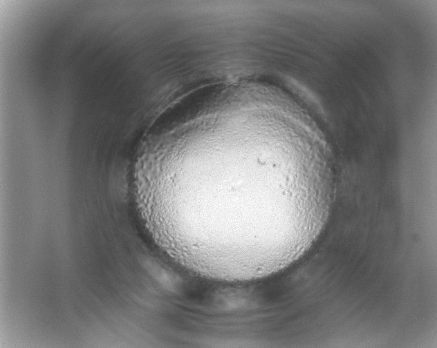 X0000067000065200604072200