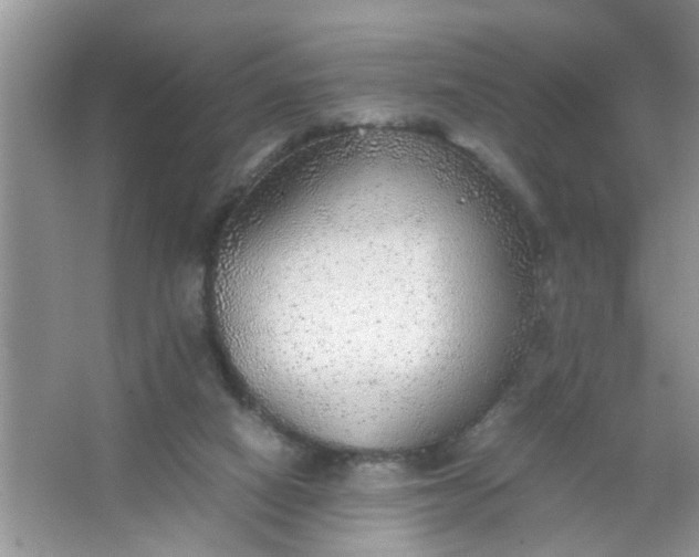 X0000067000066200604072200