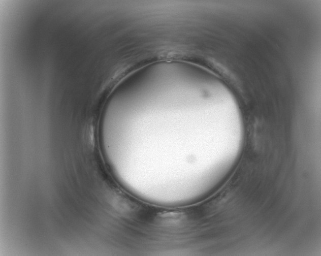 X0000067000067200604072200