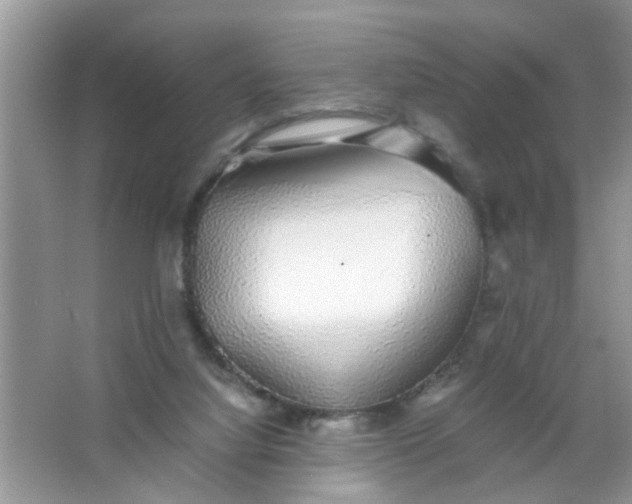 X0000067000068200604072200