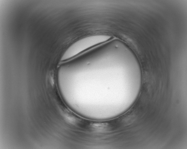 X0000067000069200604072200