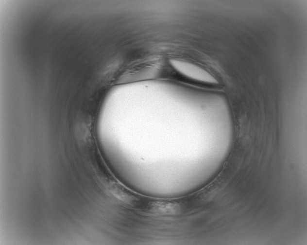 X0000067000073200604072200