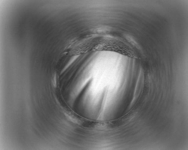 X0000067000076200604072200