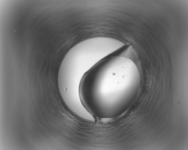 X0000067000077200604072200