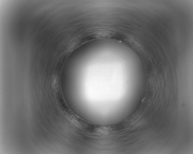 X0000067000079200604072200