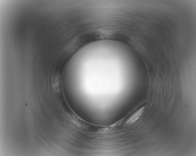 X0000067000082200604072200