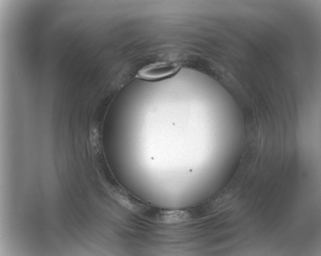 X0000067000087200604072200