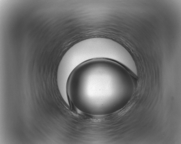 X0000067000096200604072200