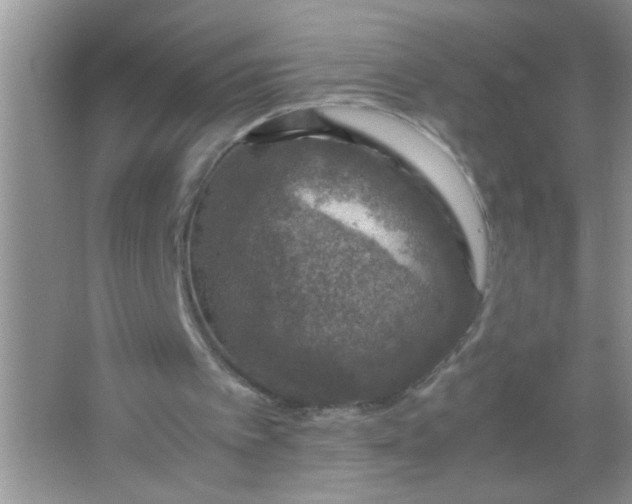 X0000067000097200604072159