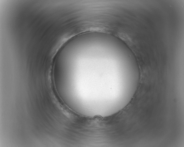 X0000067000098200604072159