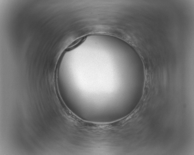 X0000067000099200604072159