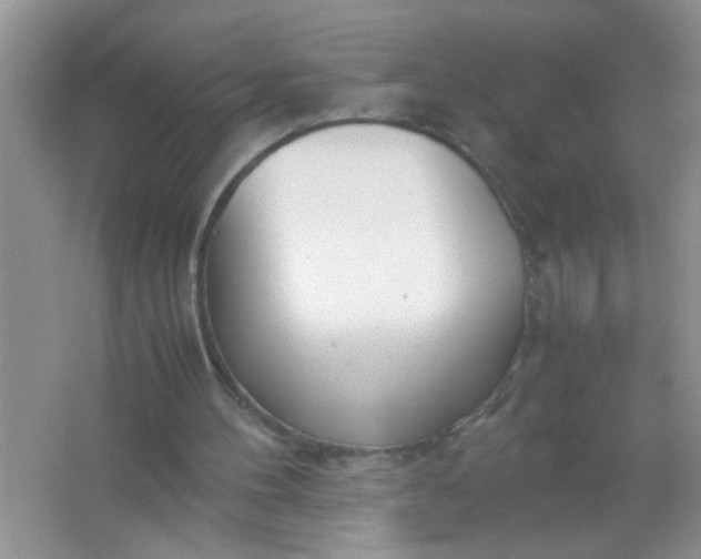 X0000067000100200604072159