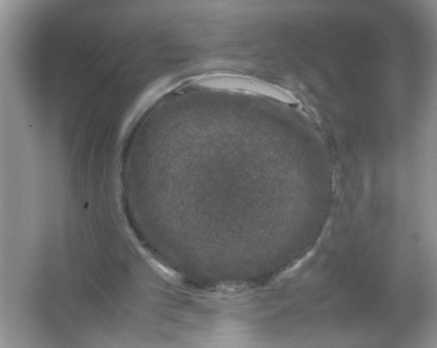 X0000067000101200604072159