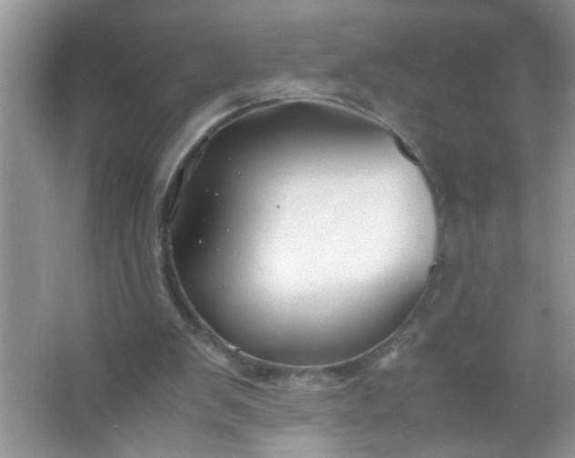 X0000067000103200604072159