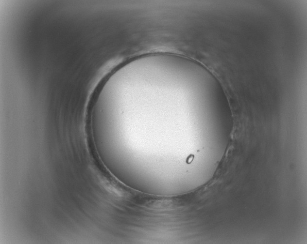 X0000067000104200604072159