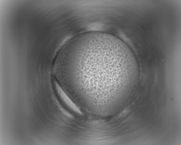 X0000067000106200604072159