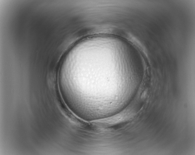 X0000067000107200604072159