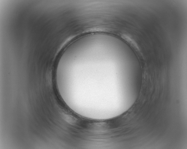 X0000067000108200604072159