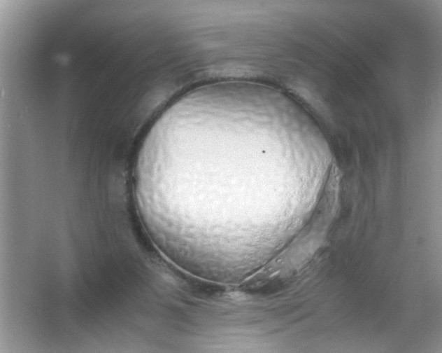 X0000067000111200604072159