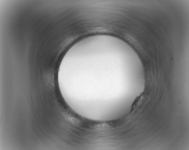 X0000067000112200604072159