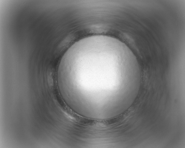 X0000067000114200604072159