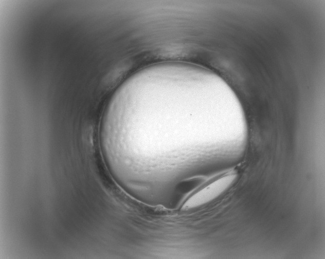 X0000067000115200604072159