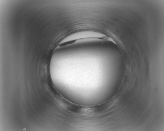 X0000067000117200604072159