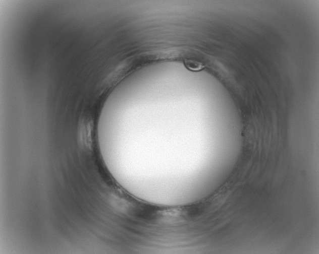 X0000067000118200604072159