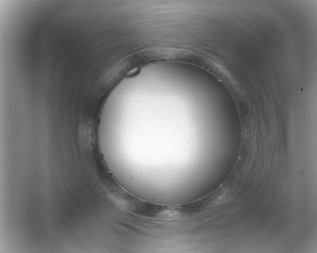 X0000067000119200604072159