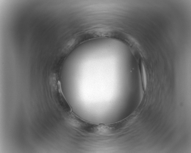 X0000067000121200604072159