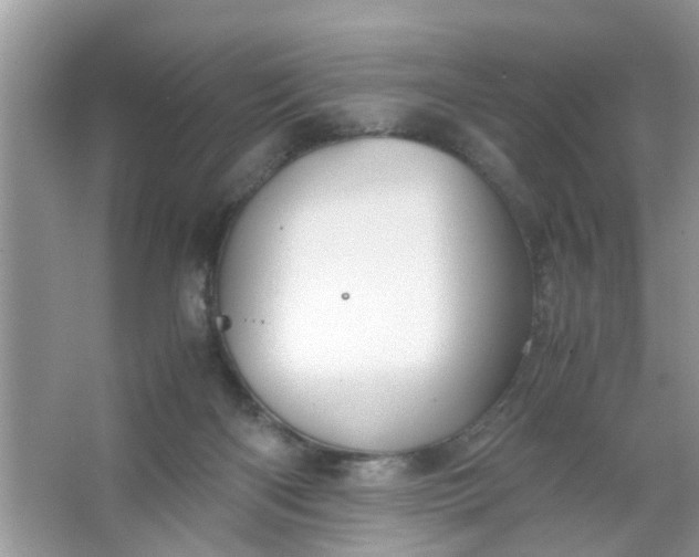 X0000067000122200604072159