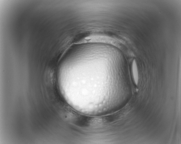 X0000067000123200604072159