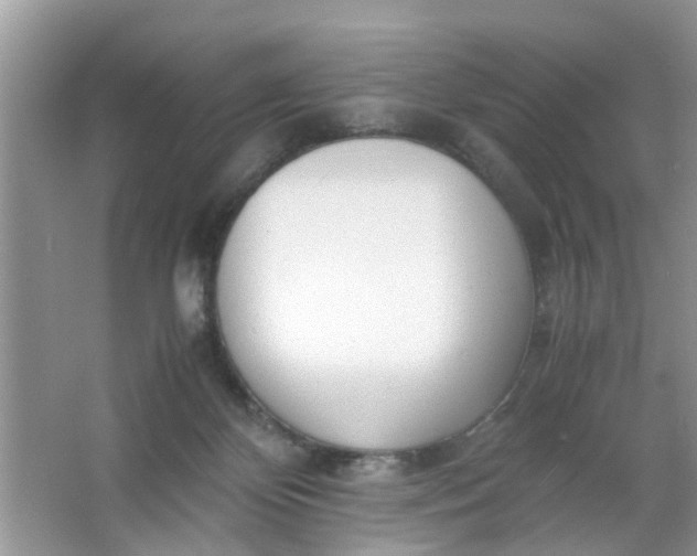 X0000067000124200604072159