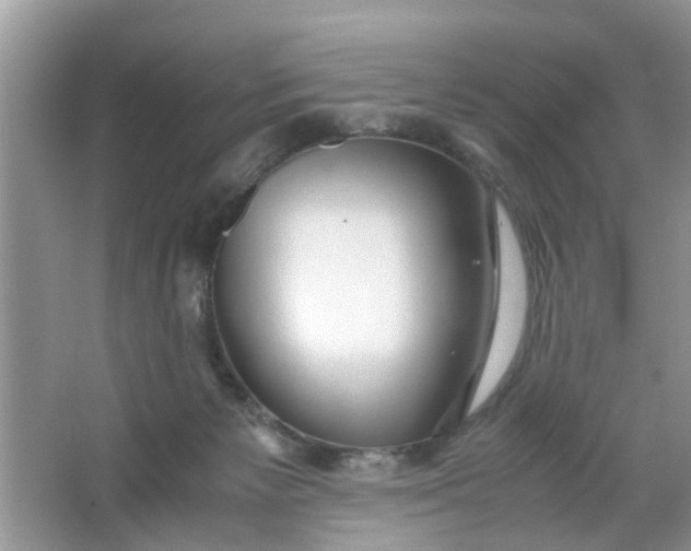 X0000067000125200604072159