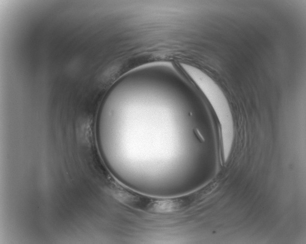 X0000067000127200604072159