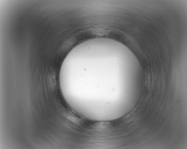 X0000067000128200604072159