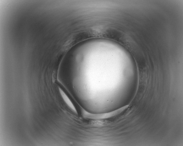 X0000067000131200604072159