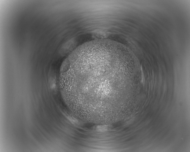 X0000067000134200604072159