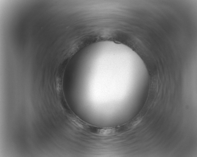 X0000067000135200604072159