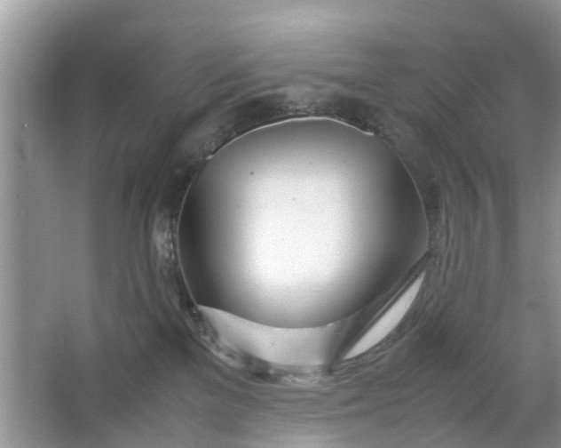 X0000067000137200604072159