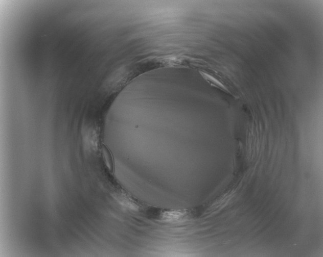 X0000067000139200604072159