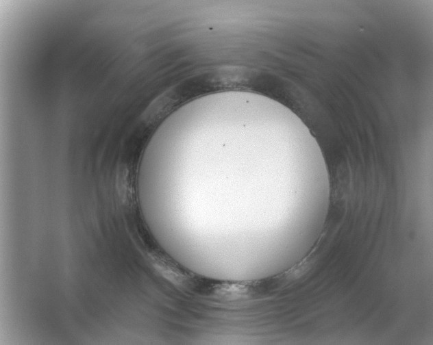 X0000067000140200604072159