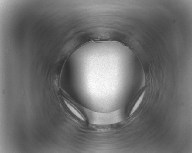 X0000067000141200604072159