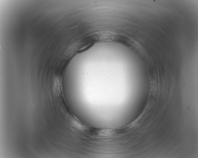 X0000067000142200604072159